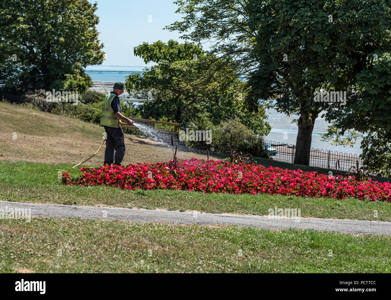 Minicipal flowerbeds being watered by a council employee.Irrigating public flower gardens, during drought conditions. Stock Photo