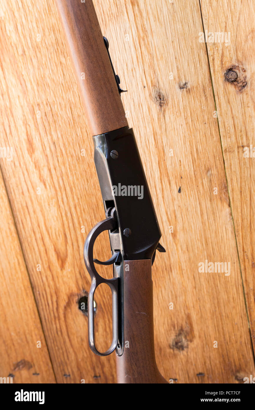 Lever-action rifle leaning against a wooden fence, USA Stock Photo