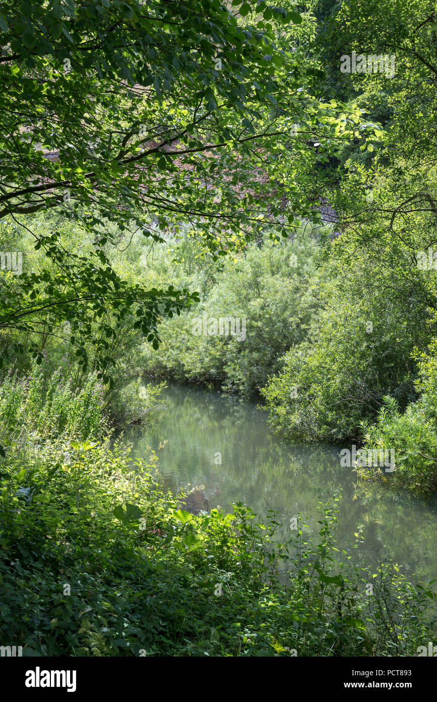 Beautiful summer day beside the river Wye at WatercumJolly Dale in