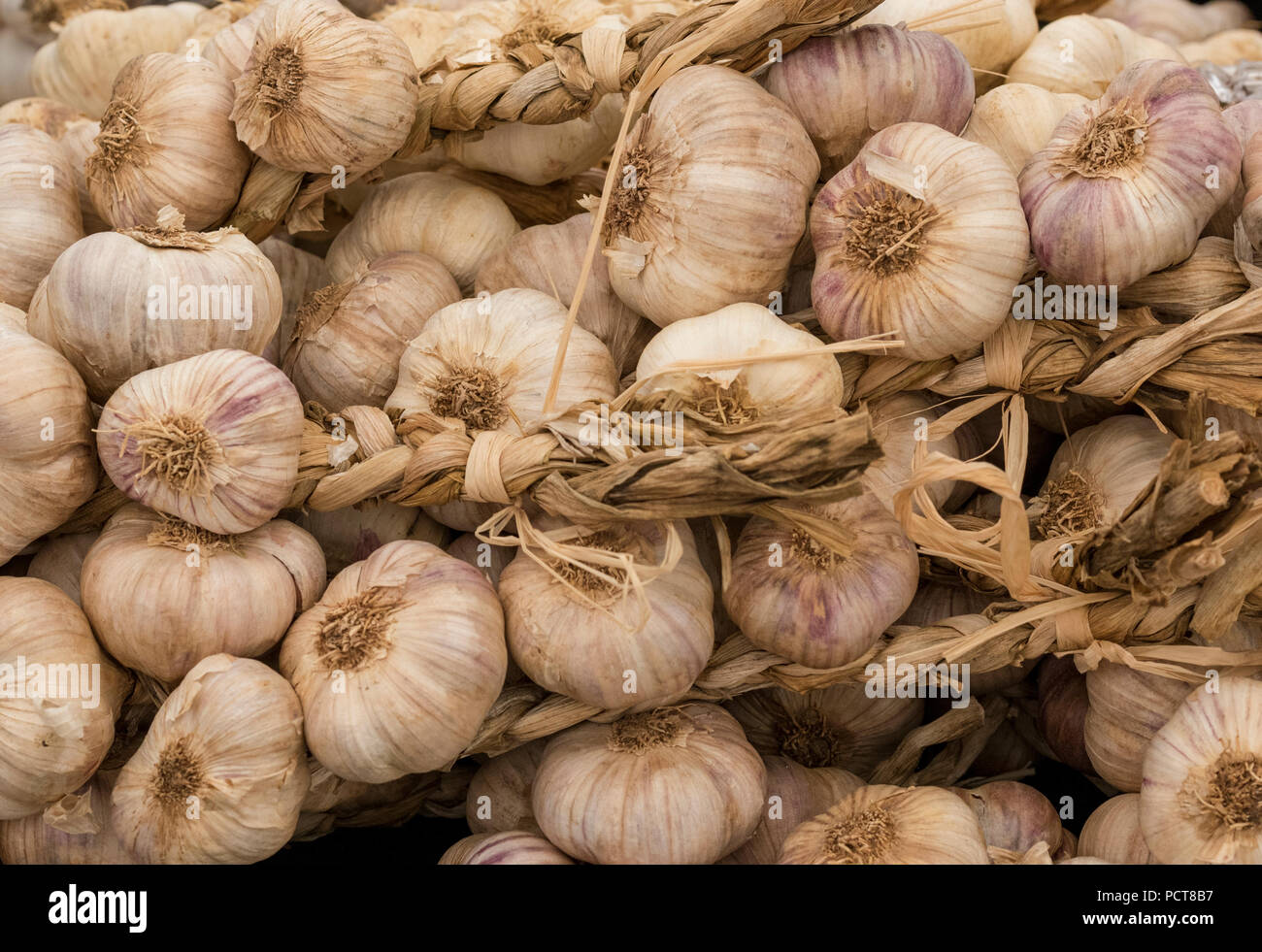 The garlic farm on the isle of wight hires stock photography and