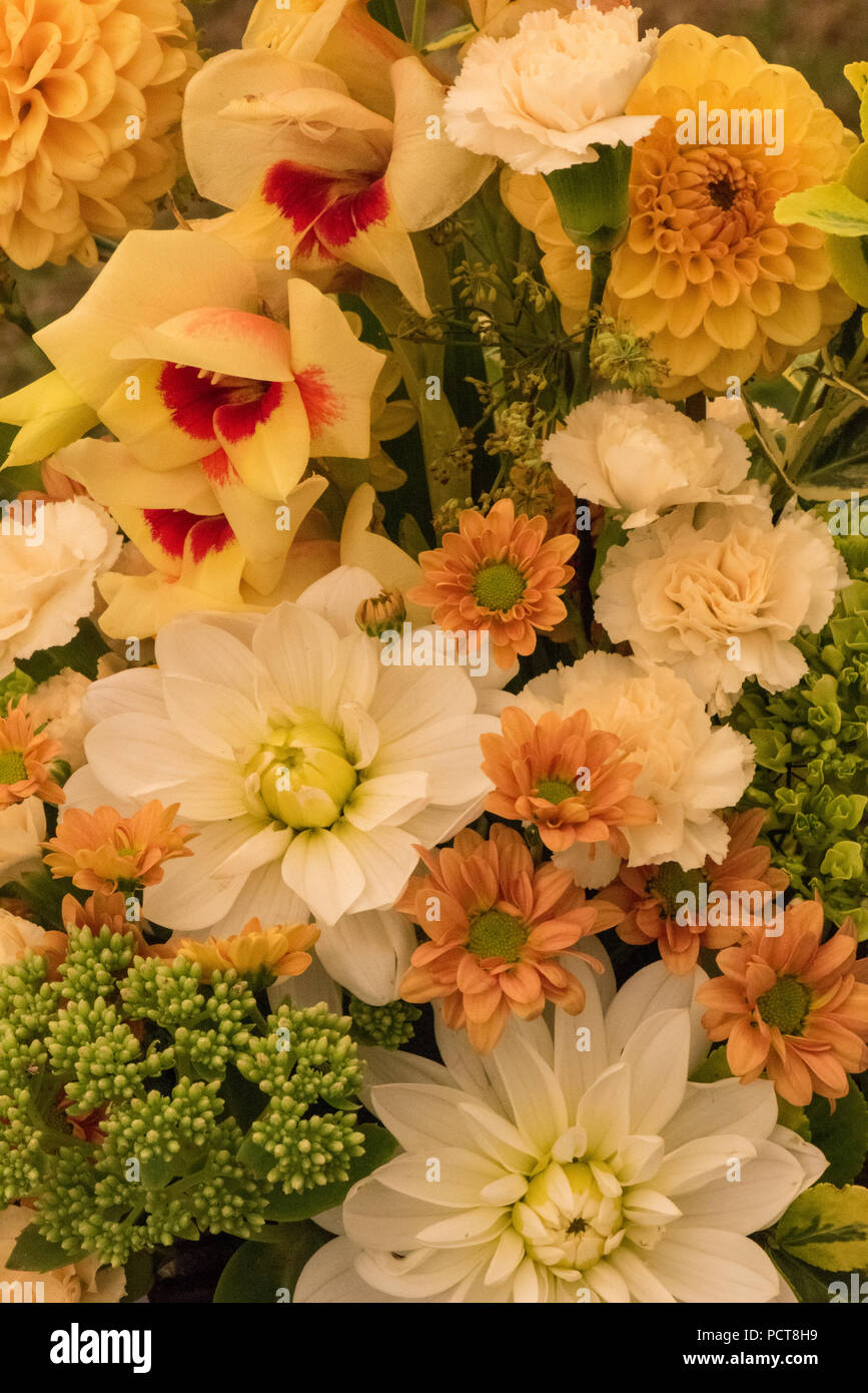Display of yellow and white dahlias, peach coloured pinks,  chrysanthemums and orchids. Stock Photo