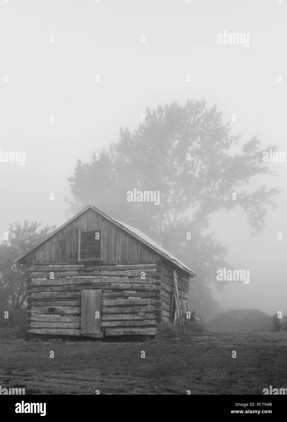 Old vintage sawn log cabin in the fog and trees and raspberry canes black and white Stock Photo