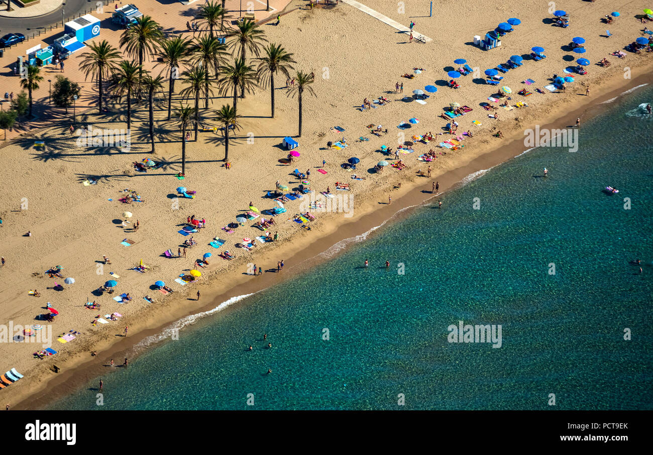 Roses at the gulf of roses hires stock photography and images Alamy