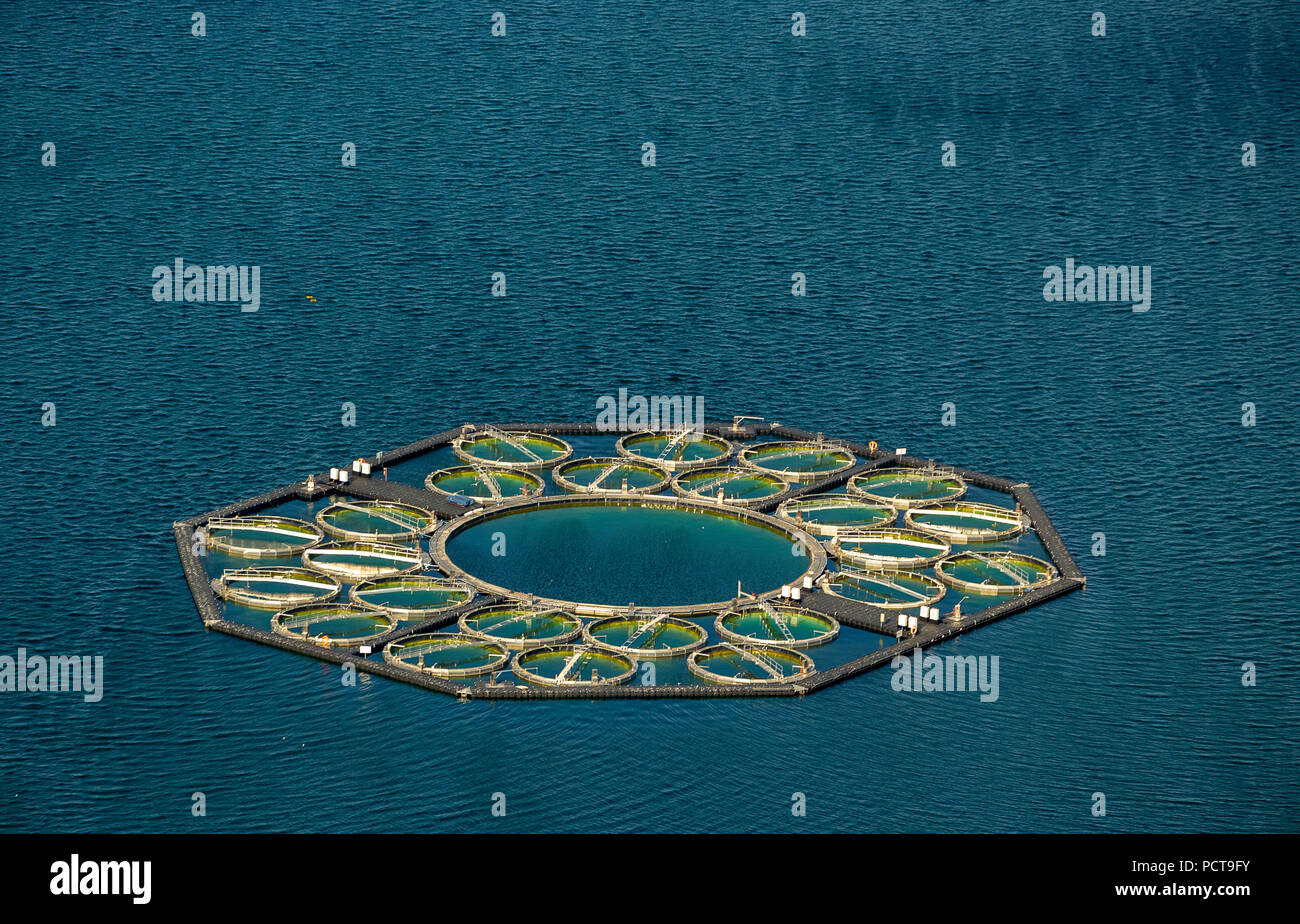 Stechlin cisco fish farming, fish traps, Lake Stechlin, Rheinsberg Lake Region with Lake Stechlin, Stechlin, Mecklenburg Lake Plateau, Brandenburg, Germany Stock Photo