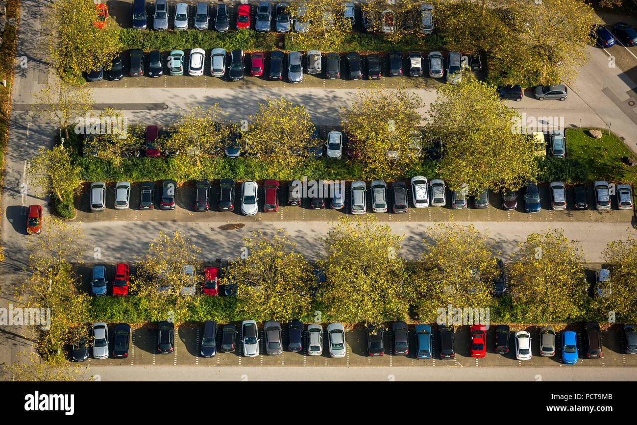 Aerial photo, Helios Klinikum autumnal car park, Schwelm, Ennepe-Ruhr-Kreis, North Rhine-Westphalia, Germany Stock Photo