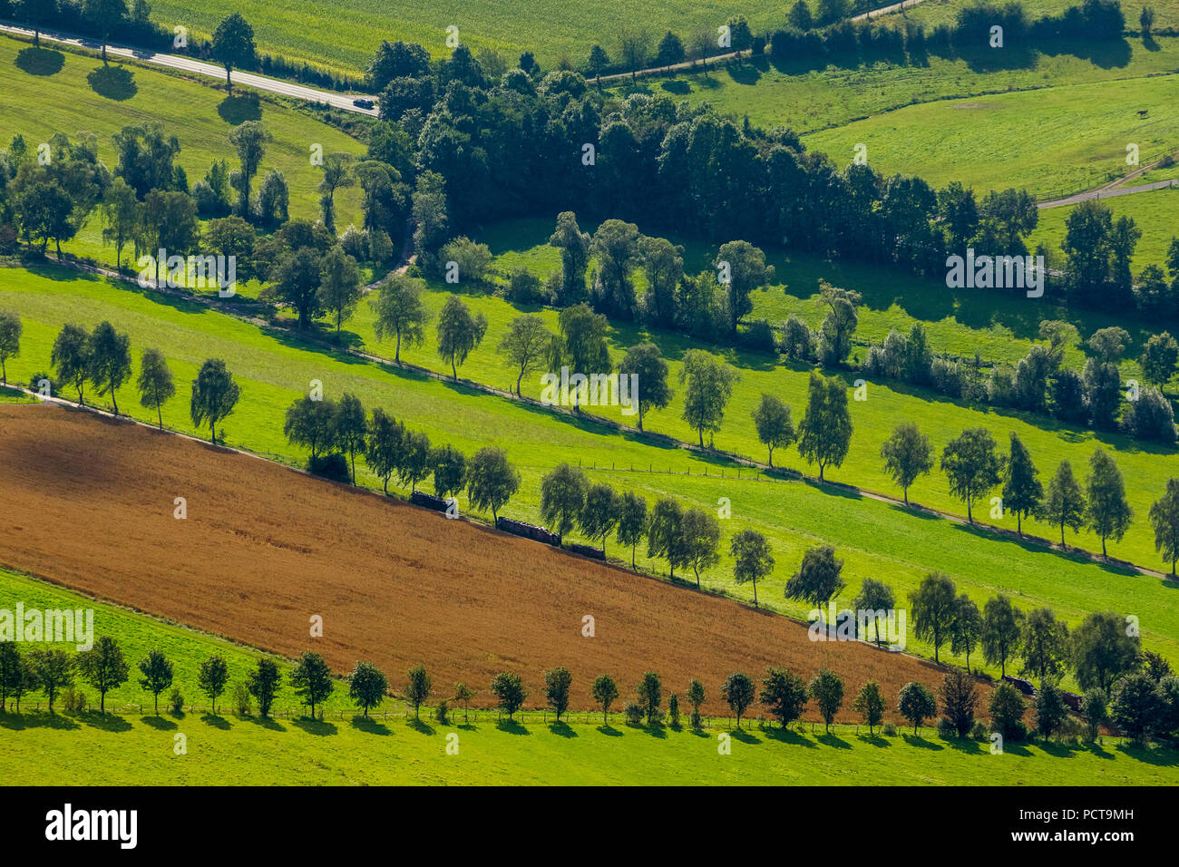 Aerial photo, fruit trees and pastures at Schmallenberg, Sauerland, North Rhine-Westphalia, Germany Stock Photo