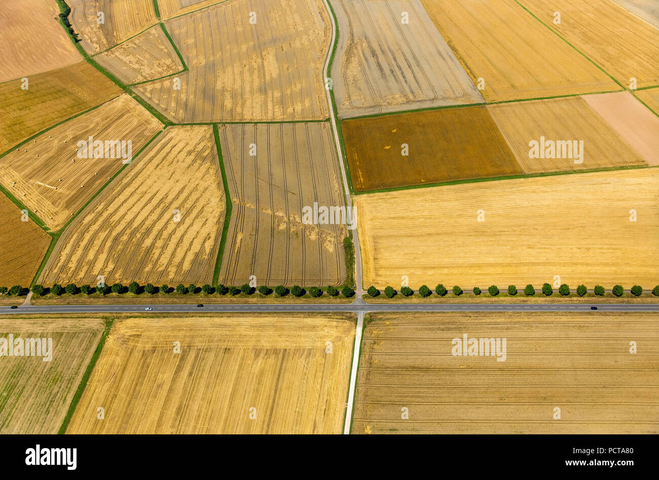 Aerial photo, harvested grain fields, yellow fields, land parcels, tree-lined road in grain fields, agriculture, Limburg an der Lahn, district town of Limburg-Weilburg (district), Hesse, Germany Stock Photo