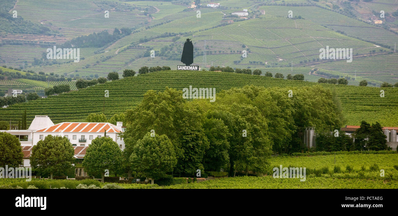 Company symbol of port winery Sandman in the vineyards, vineyards in the middle Douro valley, port wine growing area, Godim, Vila Real district, Portugal, Europe Stock Photo
