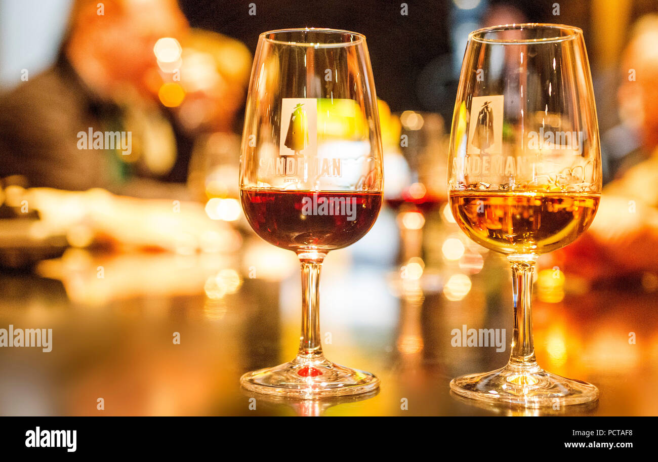 Wine tasting, white wine glass and red wine glass, wine cellar of the Sandemann Winery in Gaia, Porto, Vila Nova de Gaia, District of Porto, Portugal, Europe Stock Photo