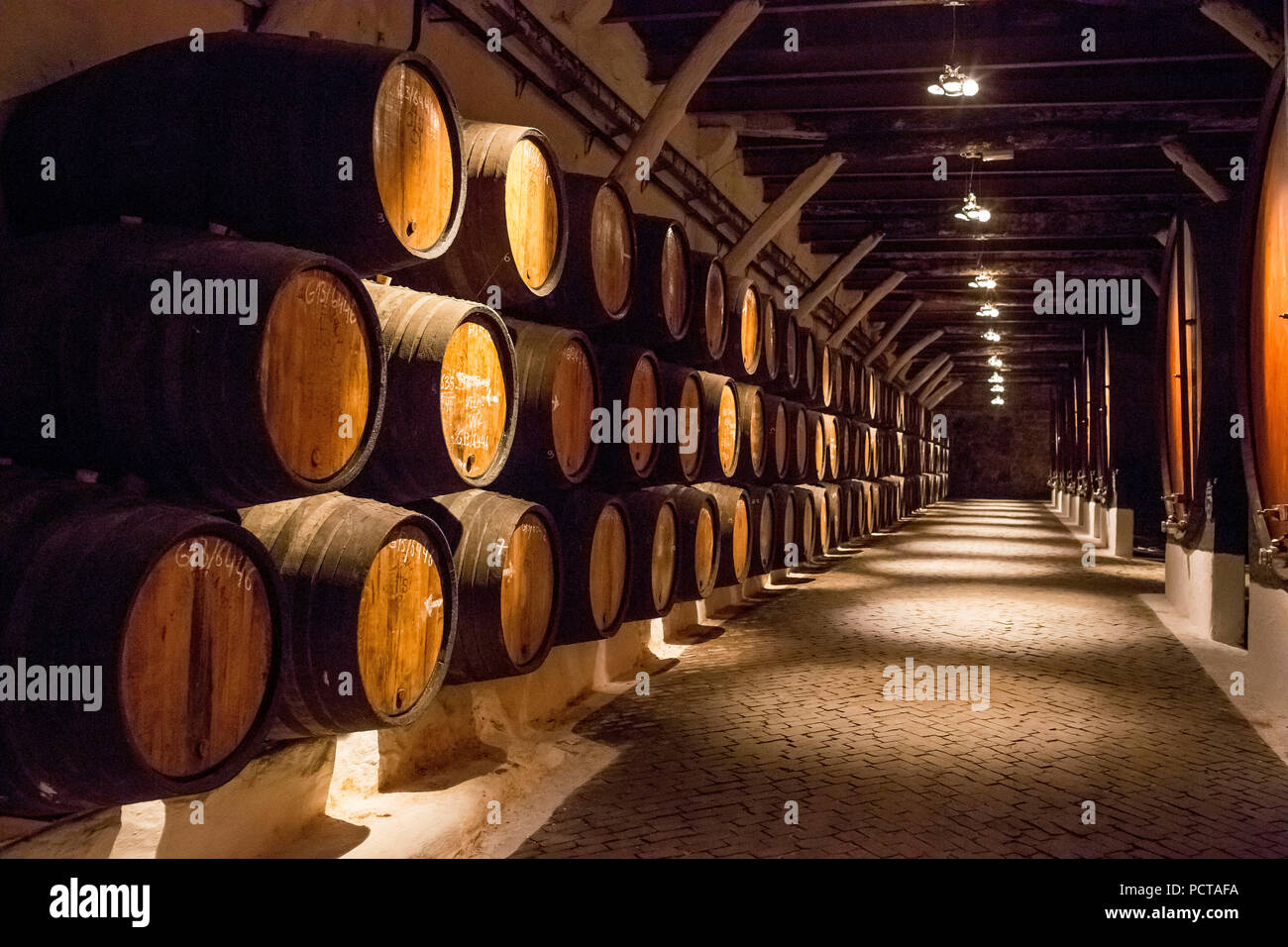 Port wine barrels, wine cellar of the winery Sandemann in Gaia, Porto