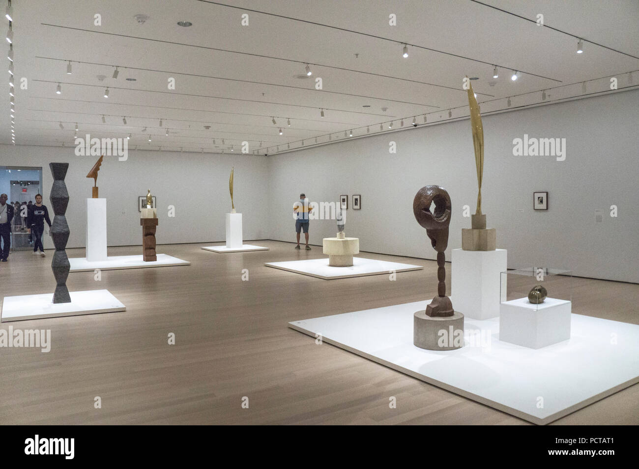 installation of small exhibition Constantin Brancusi sculpture Museum of Modern Art New York curated from MoMA Brancusi holdings closing Feb 18 2019 Stock Photo