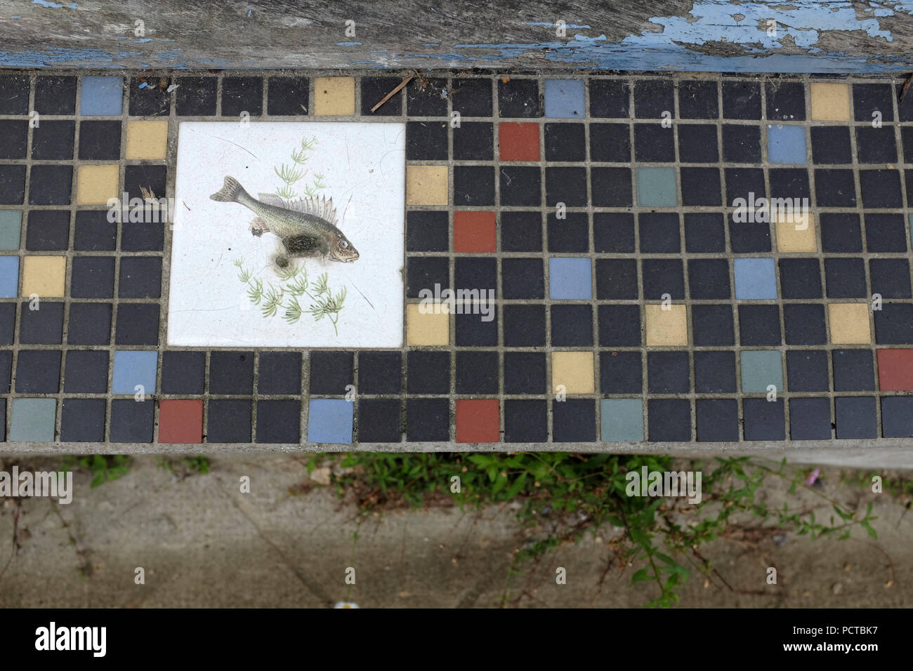 Decorative tiles with fish motif Stock Photo - Alamy