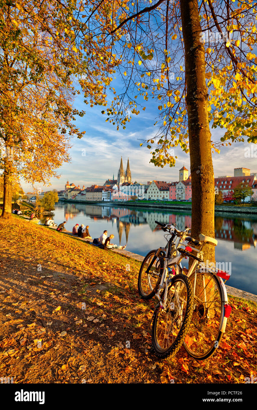 View from the Jahn Island, cathedral, waterfront, autumn, Regensburg, Upper Palatinate, Bavaria, Germany, Europe, Stock Photo
