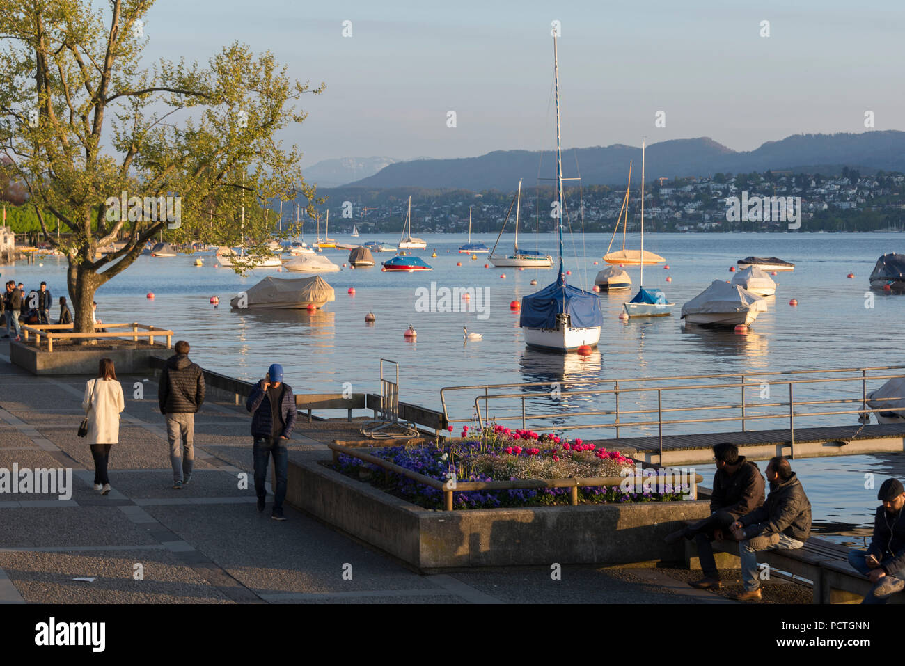 Evening mood at Utoquai with Lake Zurich, Seefeld district, Zurich, Canton of Zurich, Switzerland Stock Photo