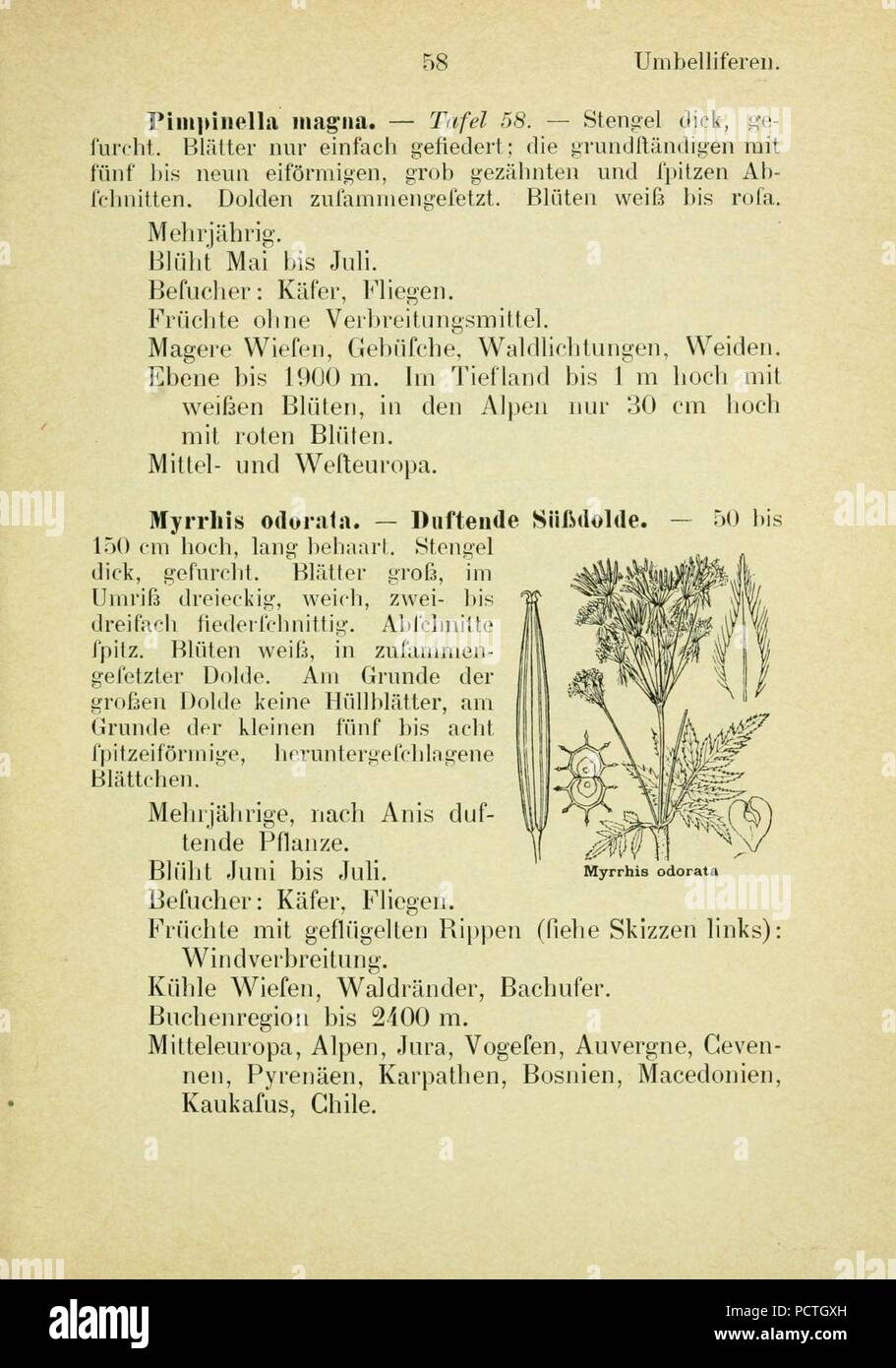 Alpen Flora Page 116 Stock Photo 214440425 Alamy