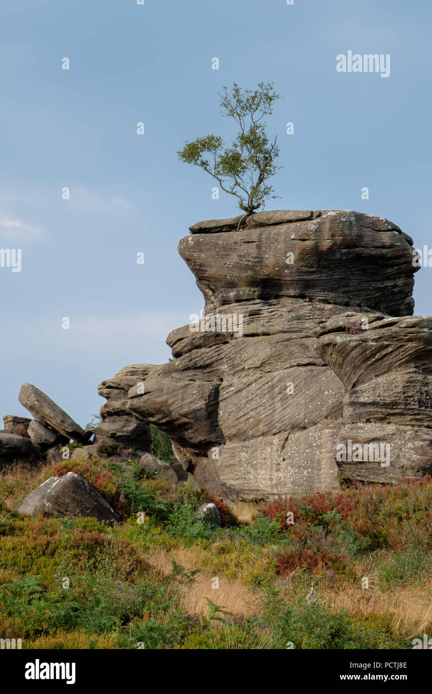 Scenic view of Brimham Rocks in Yorkshire Dales National Park Stock