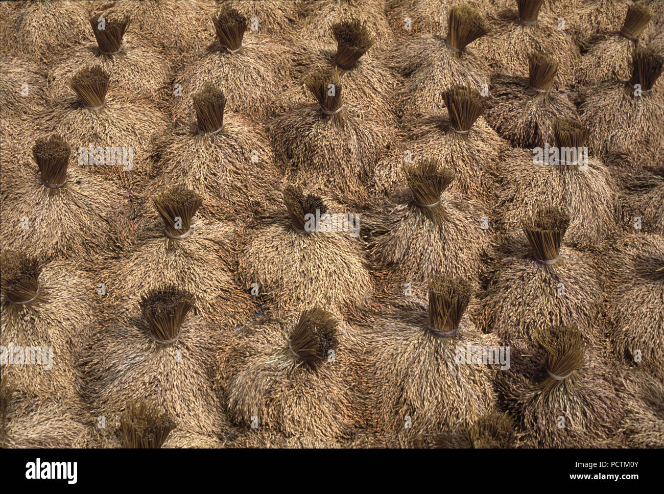 Rice bushels from above hires stock photography and images Alamy