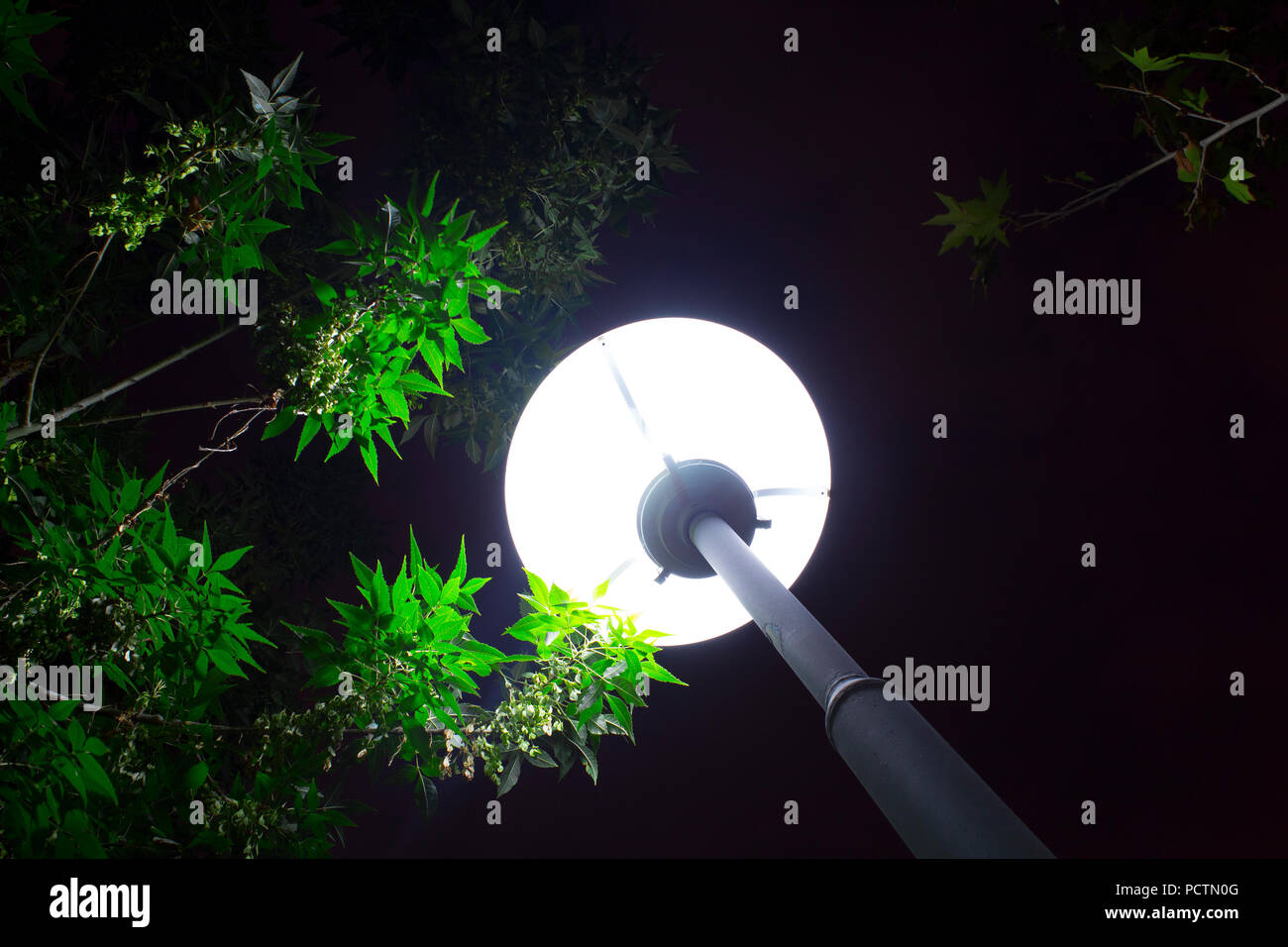 Street lamp behind a tree hi-res stock photography and images - Alamy