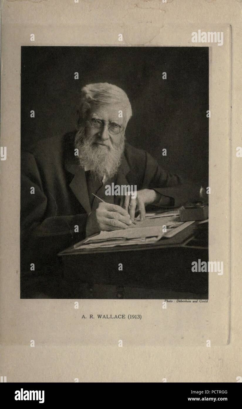 Alfred Russel Wallace Stock Photo