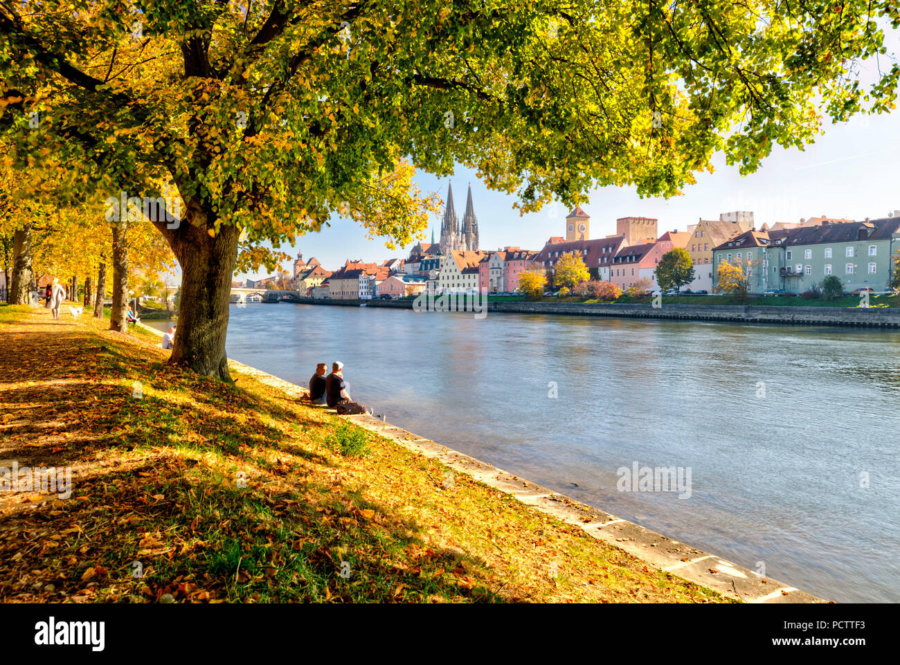 View from the Jahn Island, cathedral, waterfront, autumn, Regensburg, Upper Palatinate, Bavaria, Germany, Europe, Stock Photo