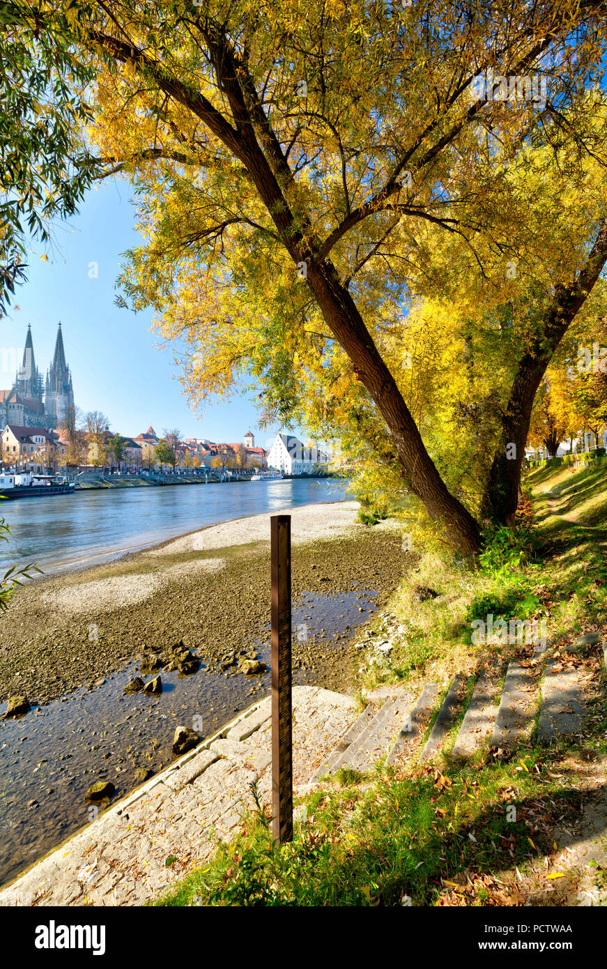 View from the Jahn Island, Marc-Aurel-Ufer, cathedral, waterfront, autumn, Regensburg, Upper Palatinate, Bavaria, Germany, Europe, Stock Photo