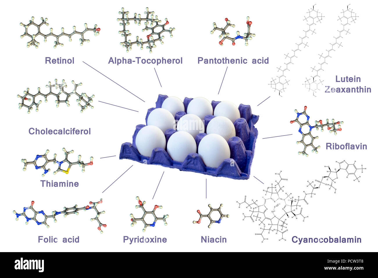 vitamin-composition-of-chicken-egg-photo-and-computer-illustration