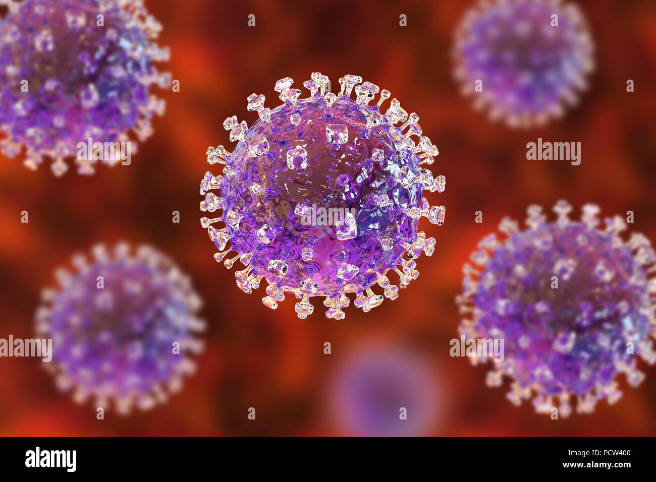 Nipah virus hi-res stock photography and images - Alamy