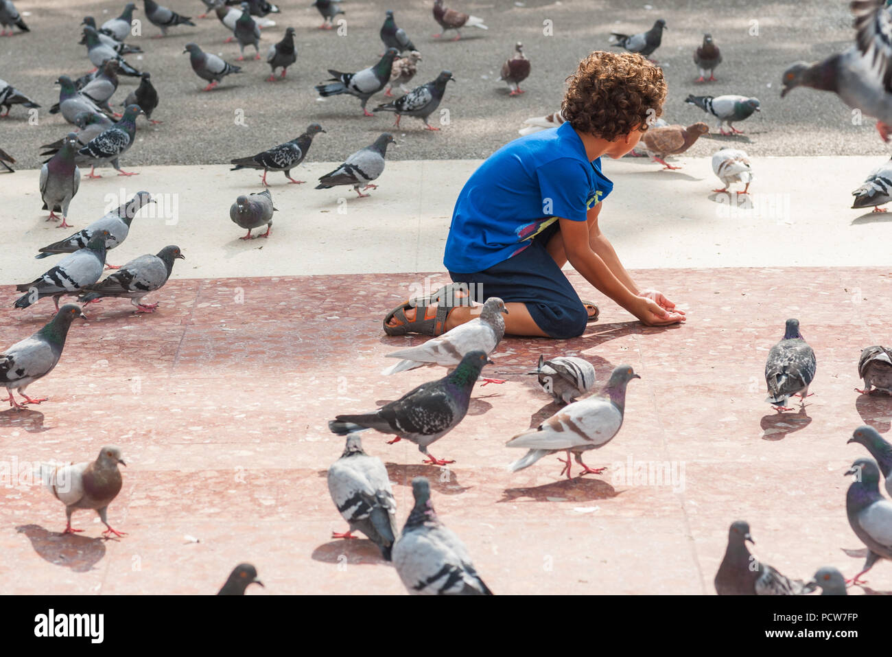 Child Feeding Pigeons Urban Birds Sitting On The Granite Floor Of