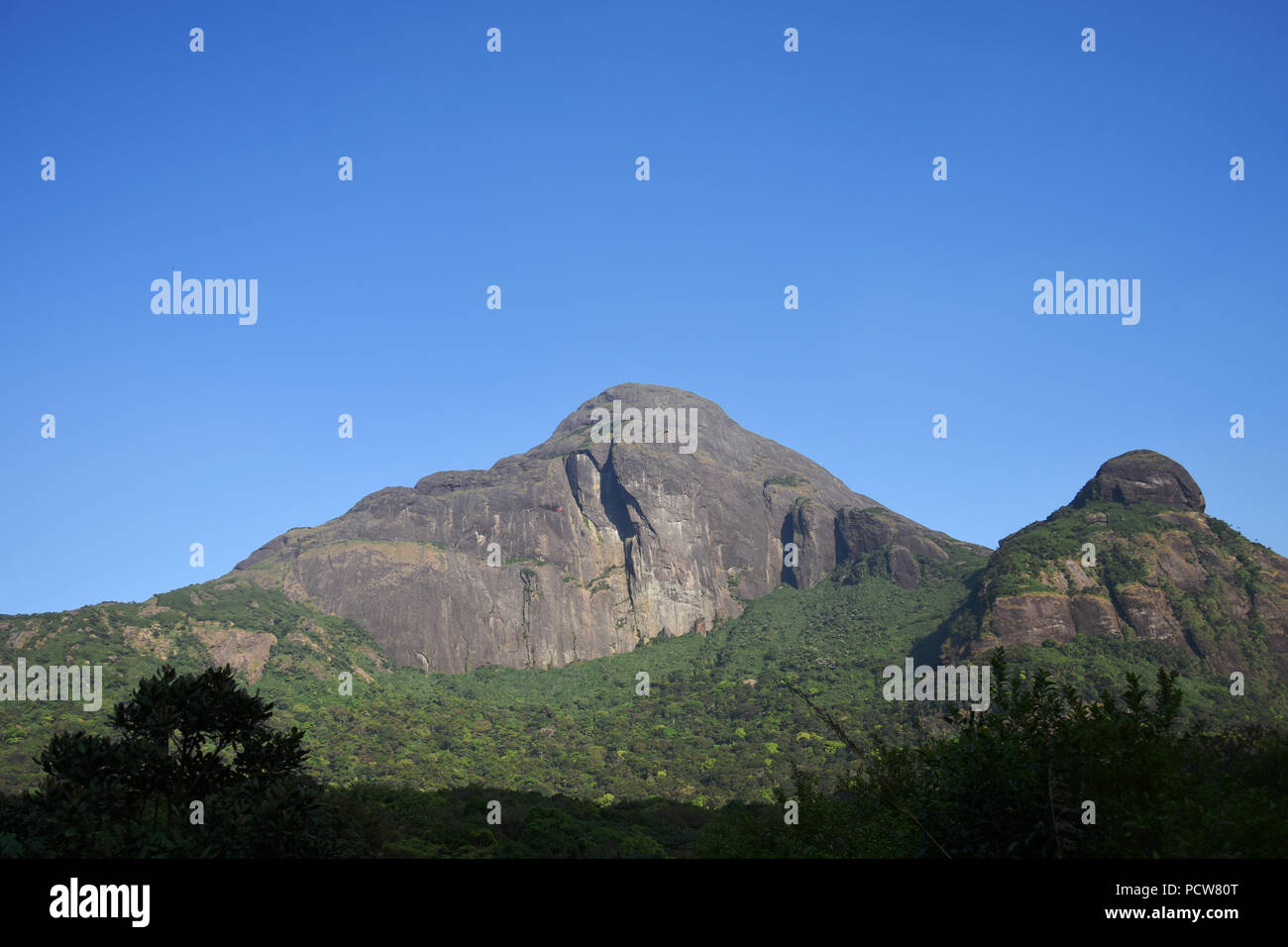 'Refreshing views of Agasthyarkoodam Biosphere Reserve' - View of Agasthya hills in the evening. Stock Photo