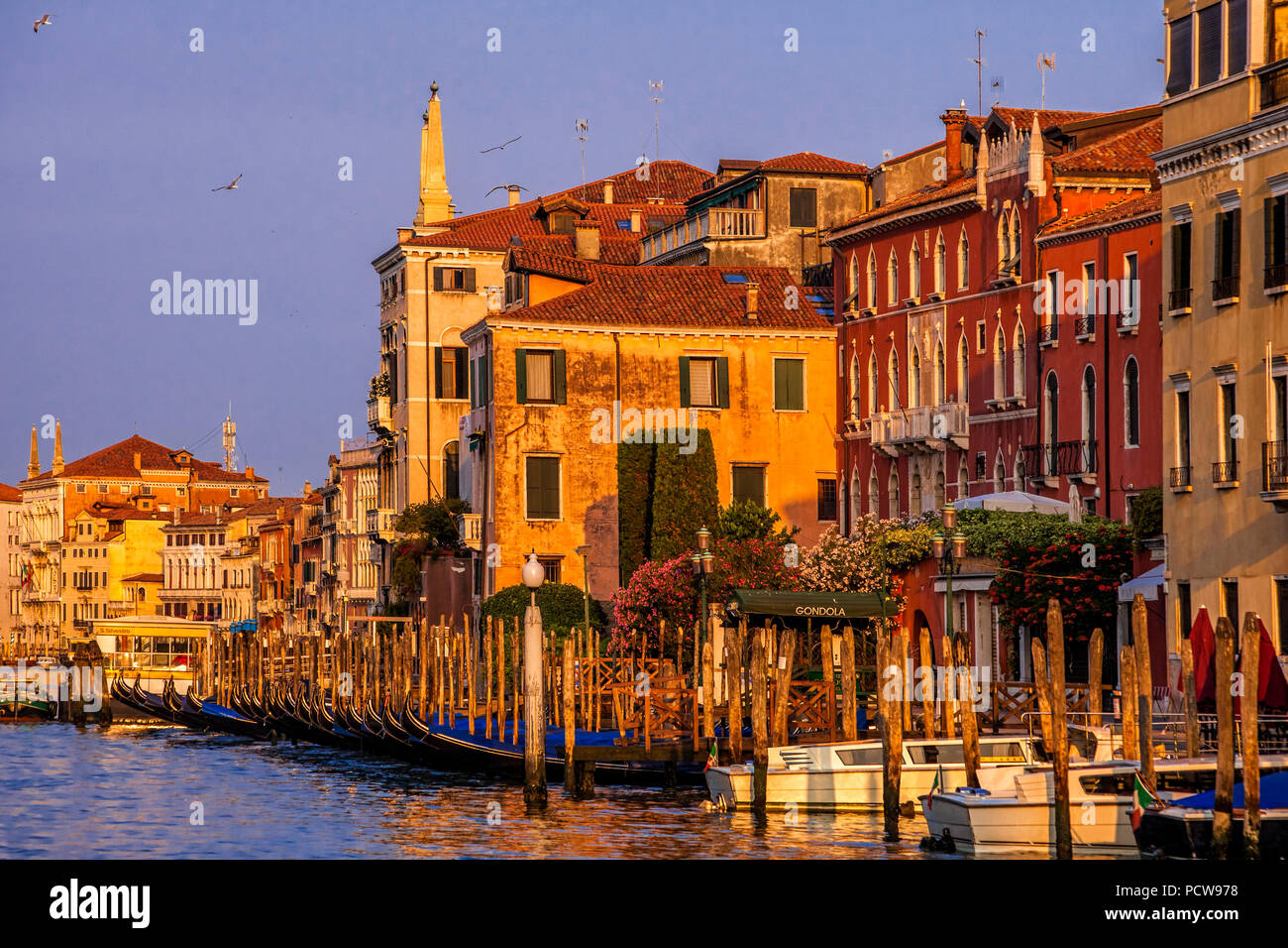 Gondolas parked on the Grand Canal in Venice, Italy Stock Photo