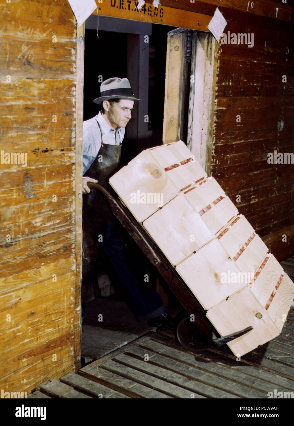 Loading oranges into refrigerator car at a co-op orange packing plant March 1943 Stock Photo