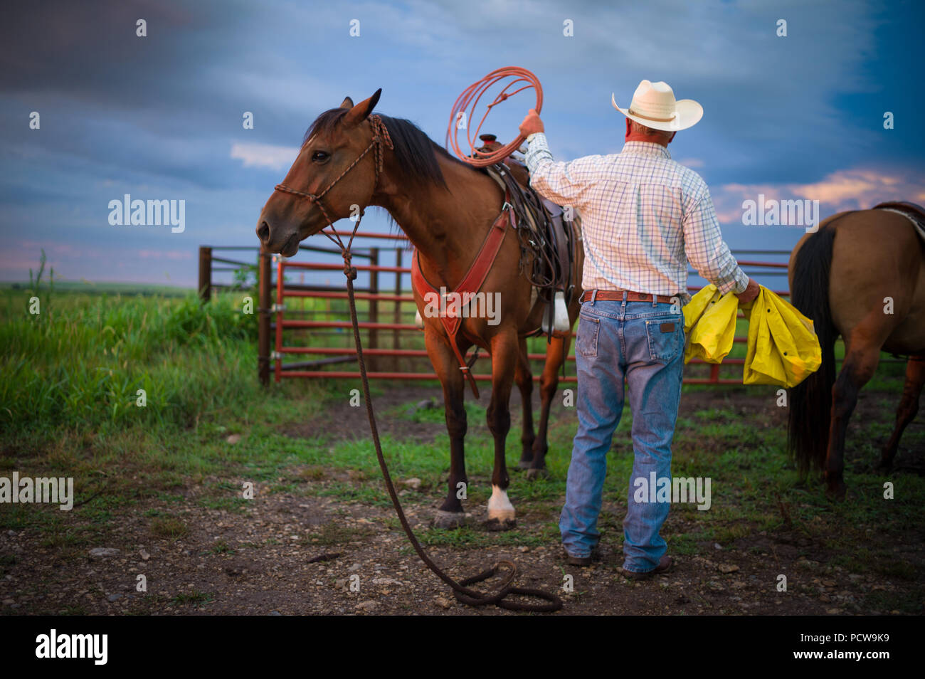Cowboy preparing lasso and horse to get ready to round up cattle on a ranch, Flint Hills, Kansas, USA. Stock Photo