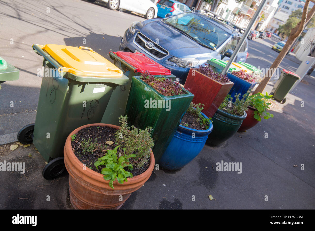 Garden pots and small plants and shrubs provide color and greenery on a street in the densely populated suburb of Surry Hills in inner Sydney Stock Photo