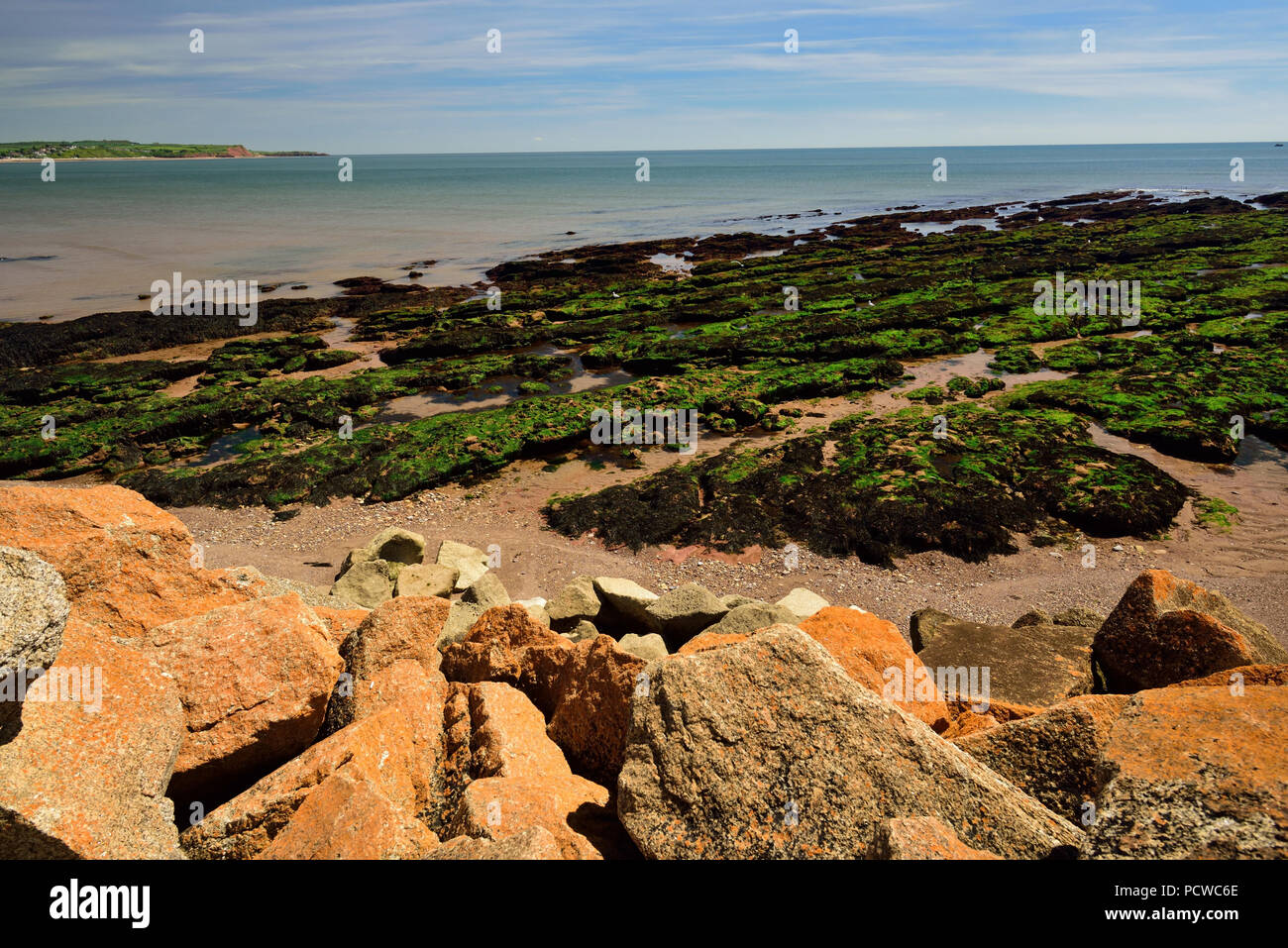 Dawlish Warren beach at low tide, seen from above the