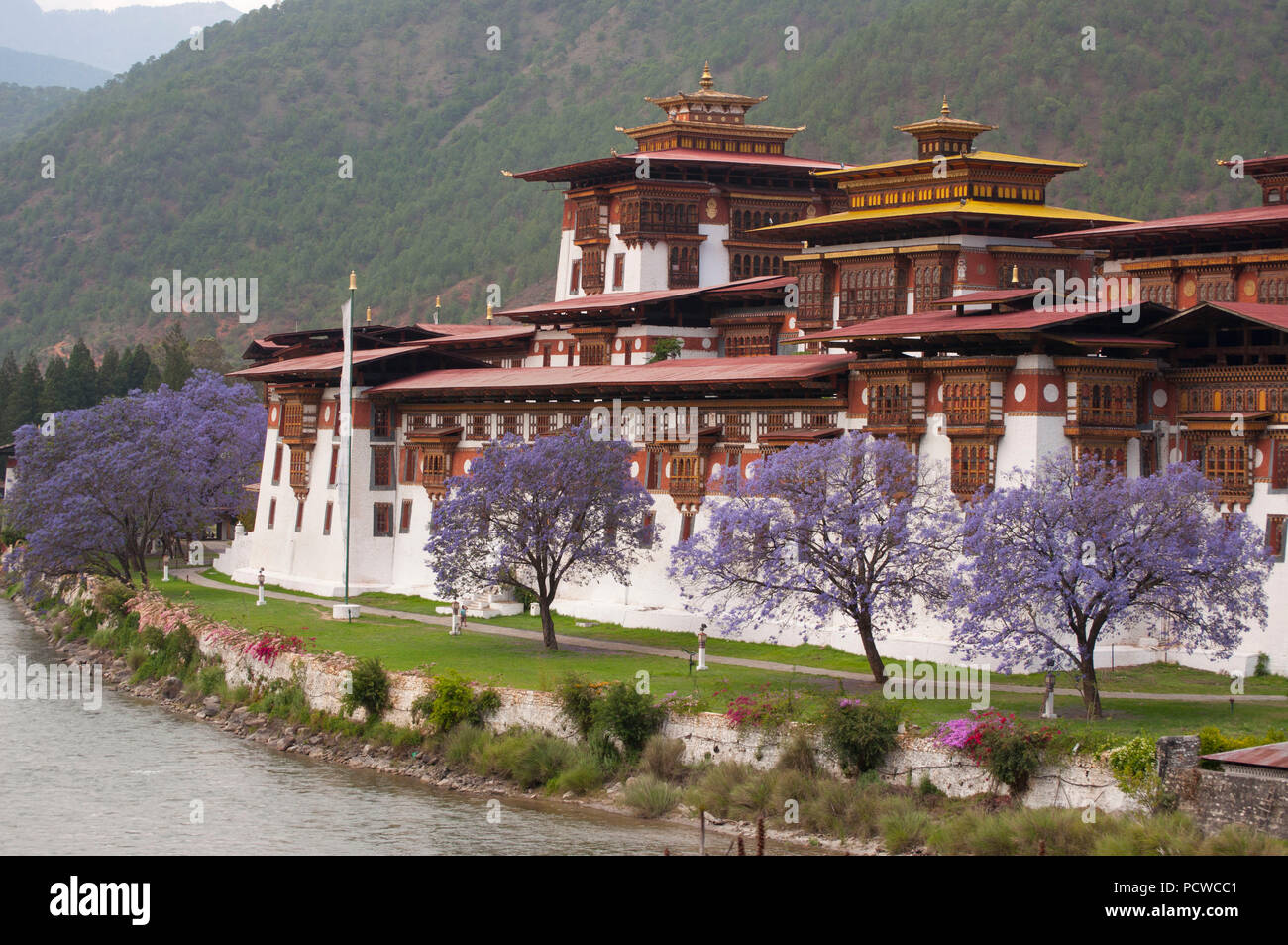 Punakha Dzong Stock Photo