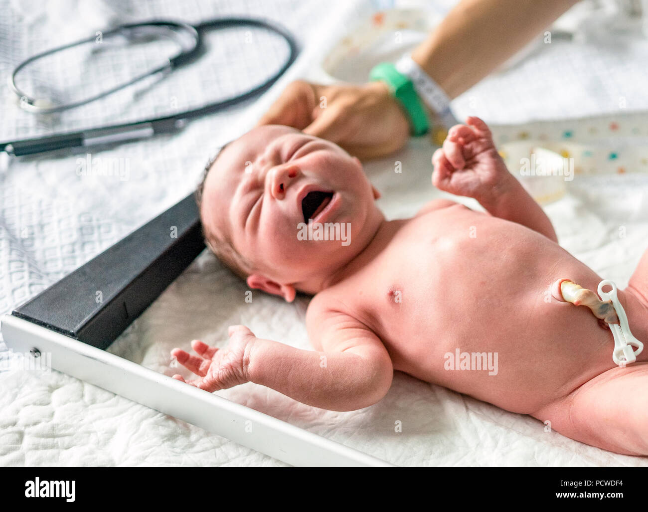 Measuring height of a newborn baby boy in the hospital Stock Photo