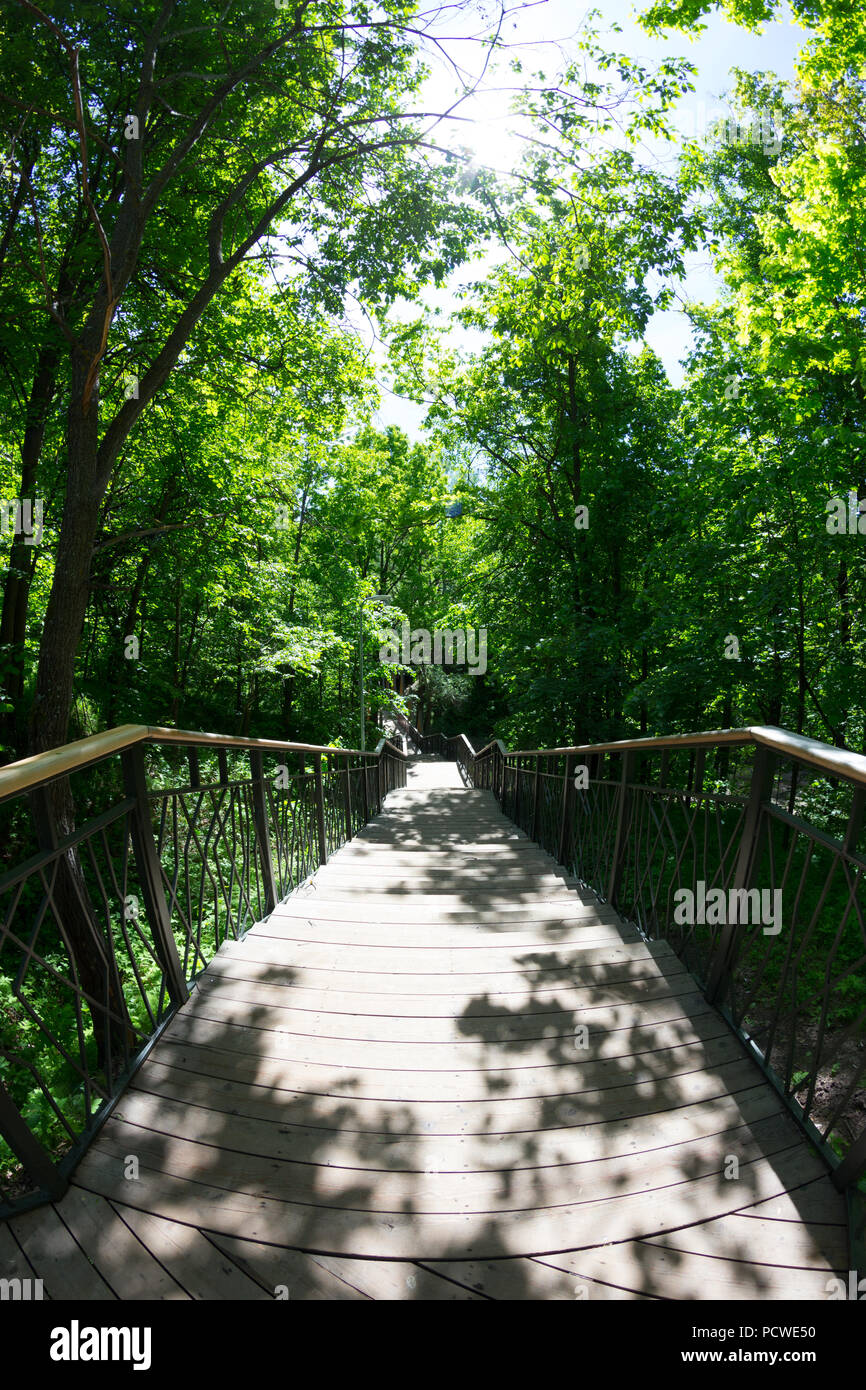 Green spring sunny city park with road and beautiful trees alley Stock ...
