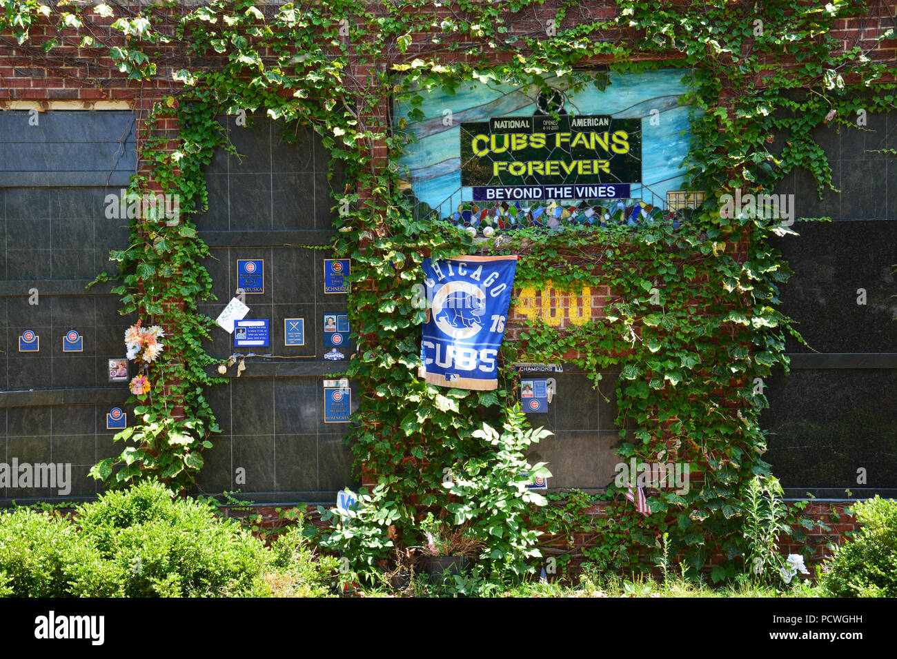 Beyond The Vines is a Chicago Cubs themed columbarium where fans can be interned in a brick outfield wall with ivy and seats from Wrigley Field Stock Photo