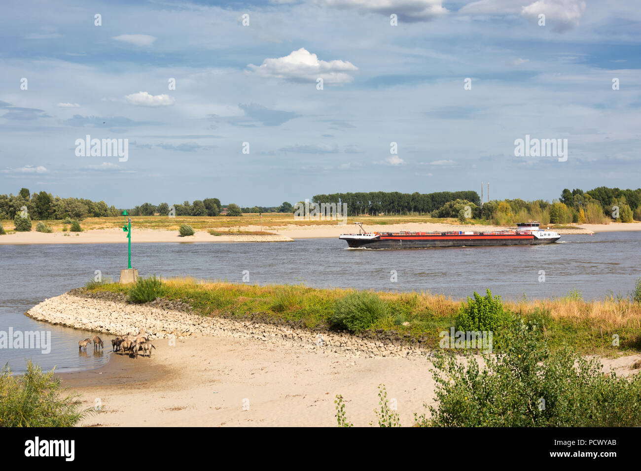 View on the river Waal and the Millingerwaard, near Nijmegen, the Netherlands. A contrast between modern transportation and wildlife (konikhorses) Stock Photo