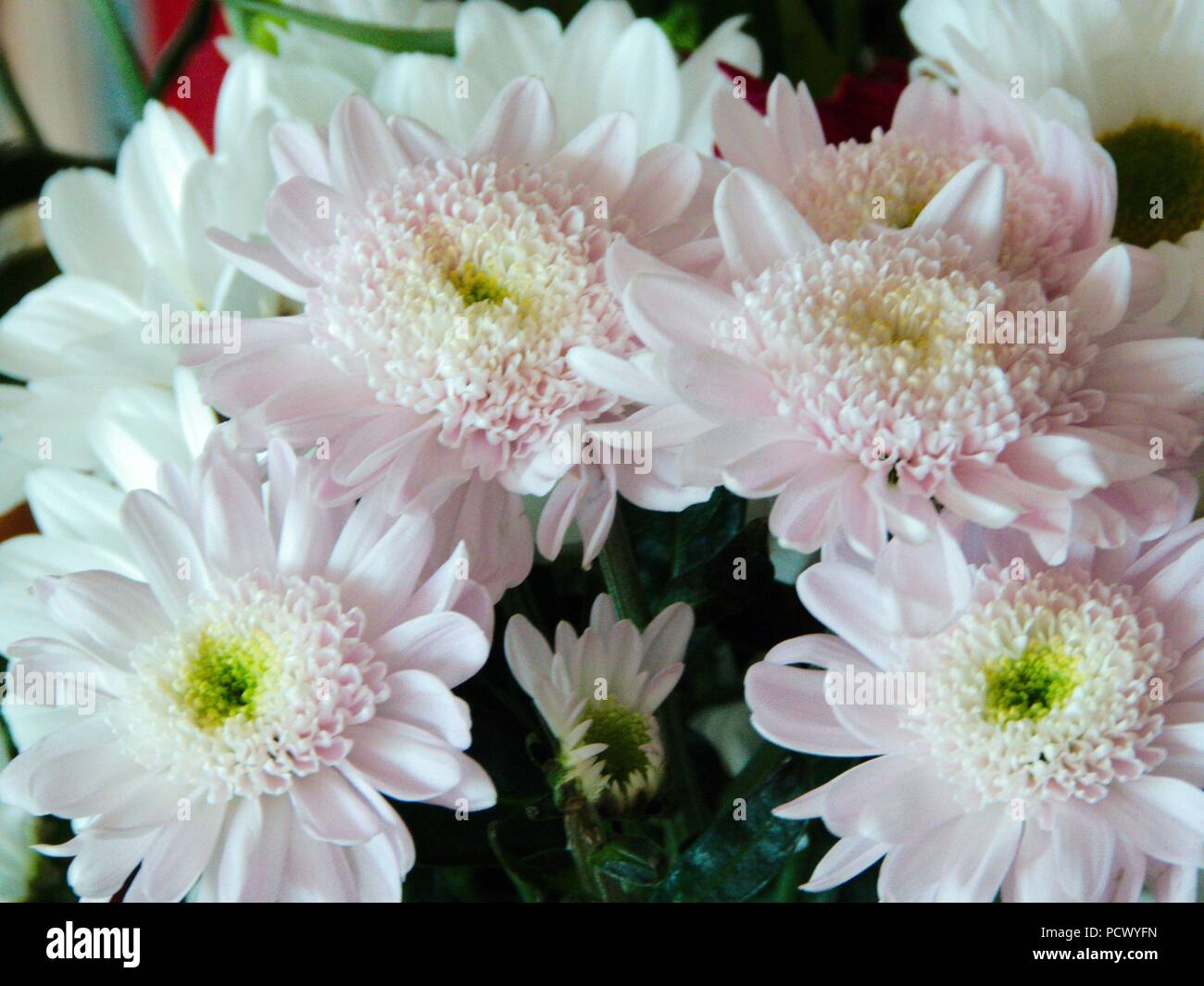 Bouquet of flowers Stock Photo - Alamy