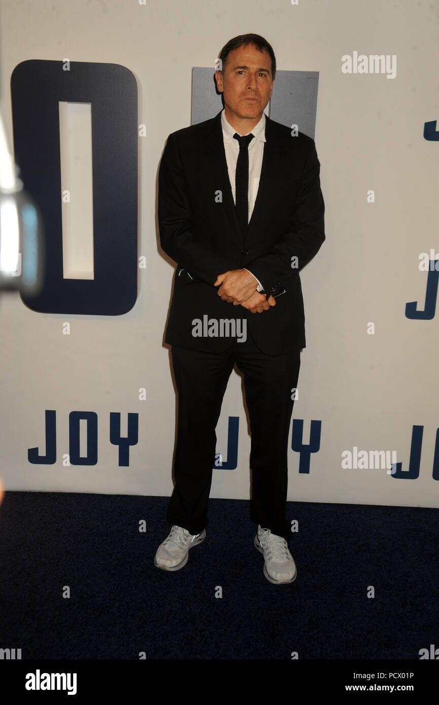 NEW YORK, NY DECEMBER 13 David O. Russell attends the premiere of