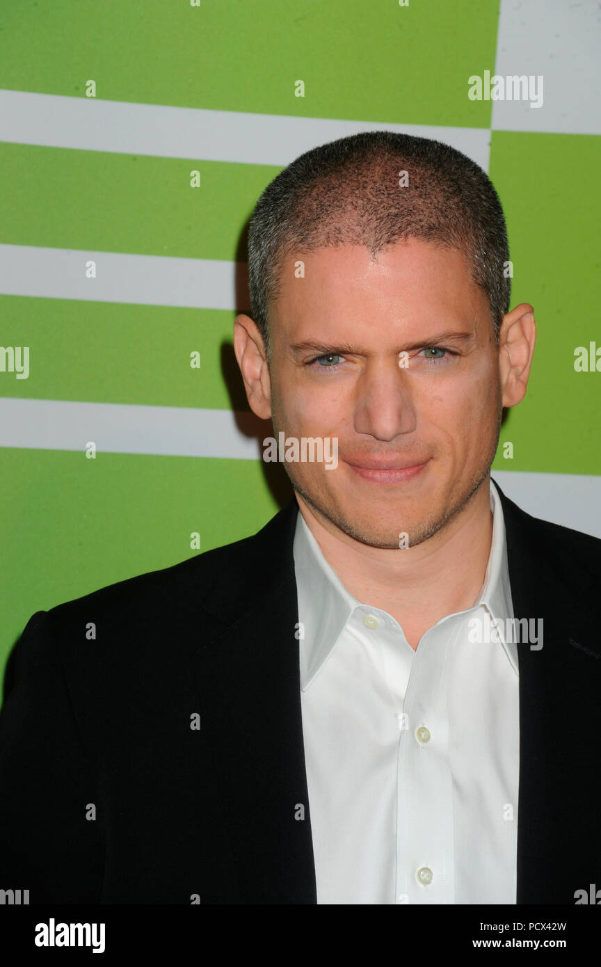 NEW YORK, NY - MAY 14:  Wentworth Miller attends the CW Network's New York 2015 Upfront Presentation at The London Hotel on May 14, 2015 in New York City   People:  Wentworth Miller Stock Photo
