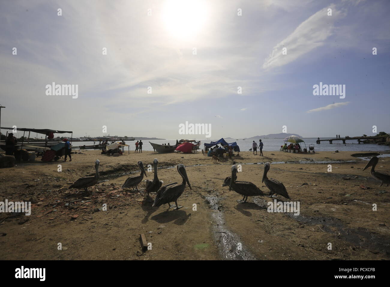 Puerto La Cruz, Anzoategui, Venezuela. 3rd Aug, 2018. August 03, 2018. Pelicans (Pelecanus) are a genus of pelecaniformes aquatic birds belonging to the monotypic family Pelecanidae. They are characterized by their long beak with a large gular sac that they use to capture their prey and drain the collected water before swallowing them. These photos were made in the popular Los Cocos market. In Puerto la Cruz, Anzoategui state. Venezuela. Photo: Juan Carlos Hernandez Credit: Juan Carlos Hernandez/ZUMA Wire/Alamy Live News Stock Photo
