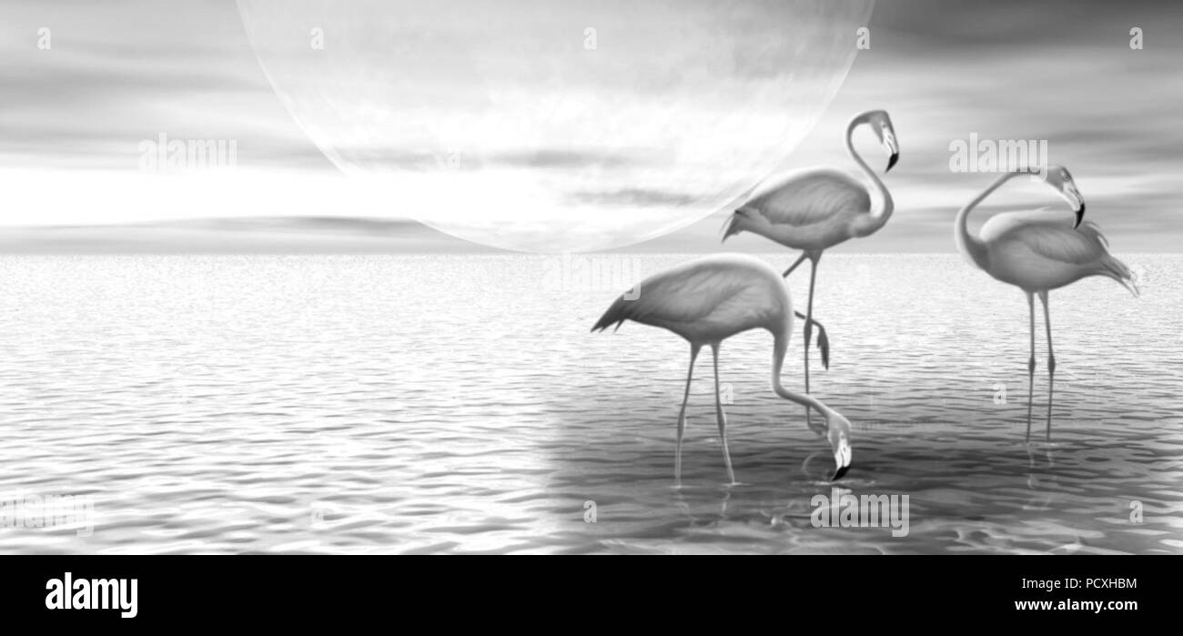 Monochrome 3D illustration with three flamingos on the background of ...