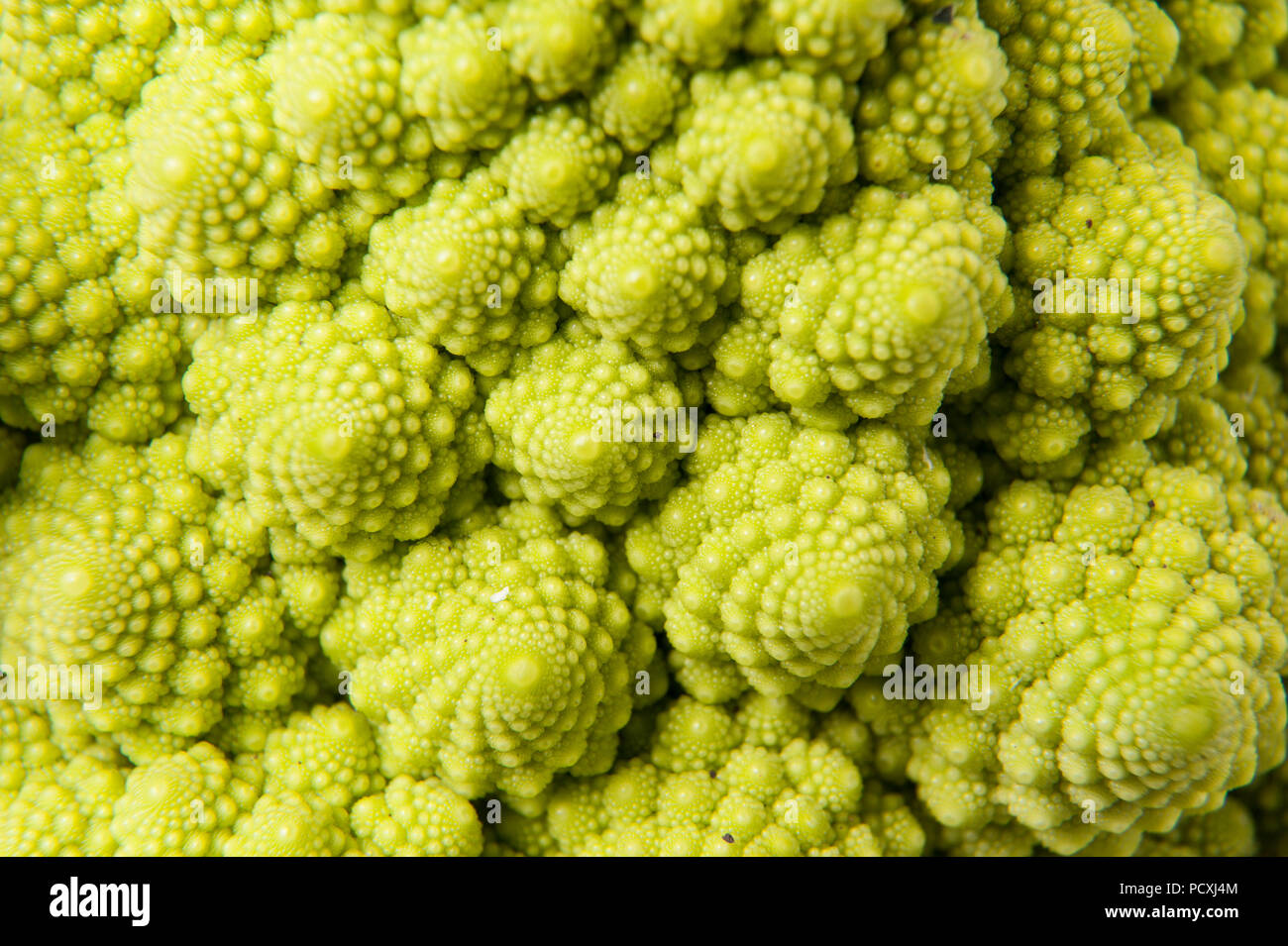 Roman green cabbage fractal detail hi-res stock photography and images ...