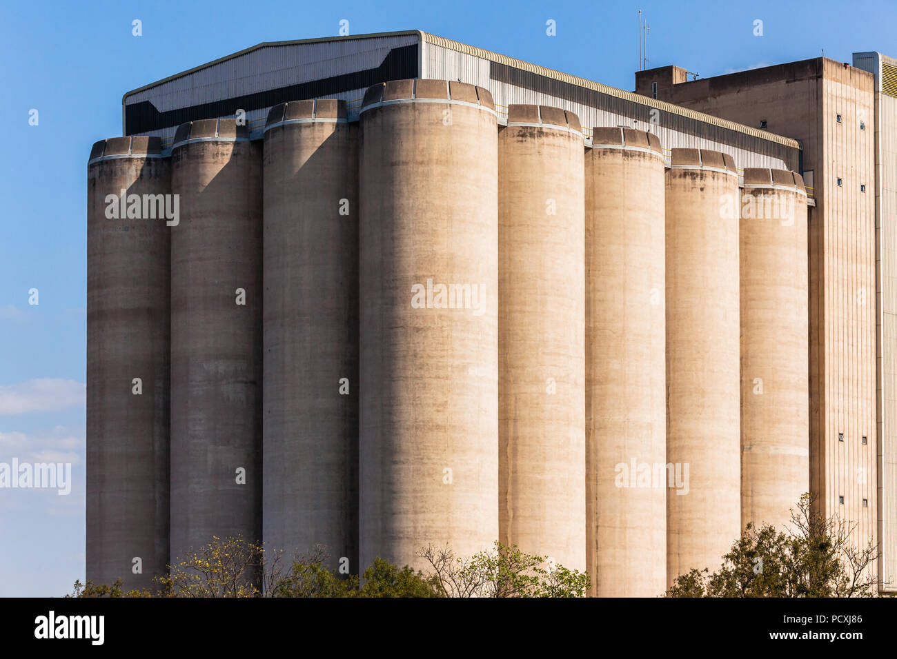 Agriculture grain silos tall storage tanks Structure Stock Photo Alamy