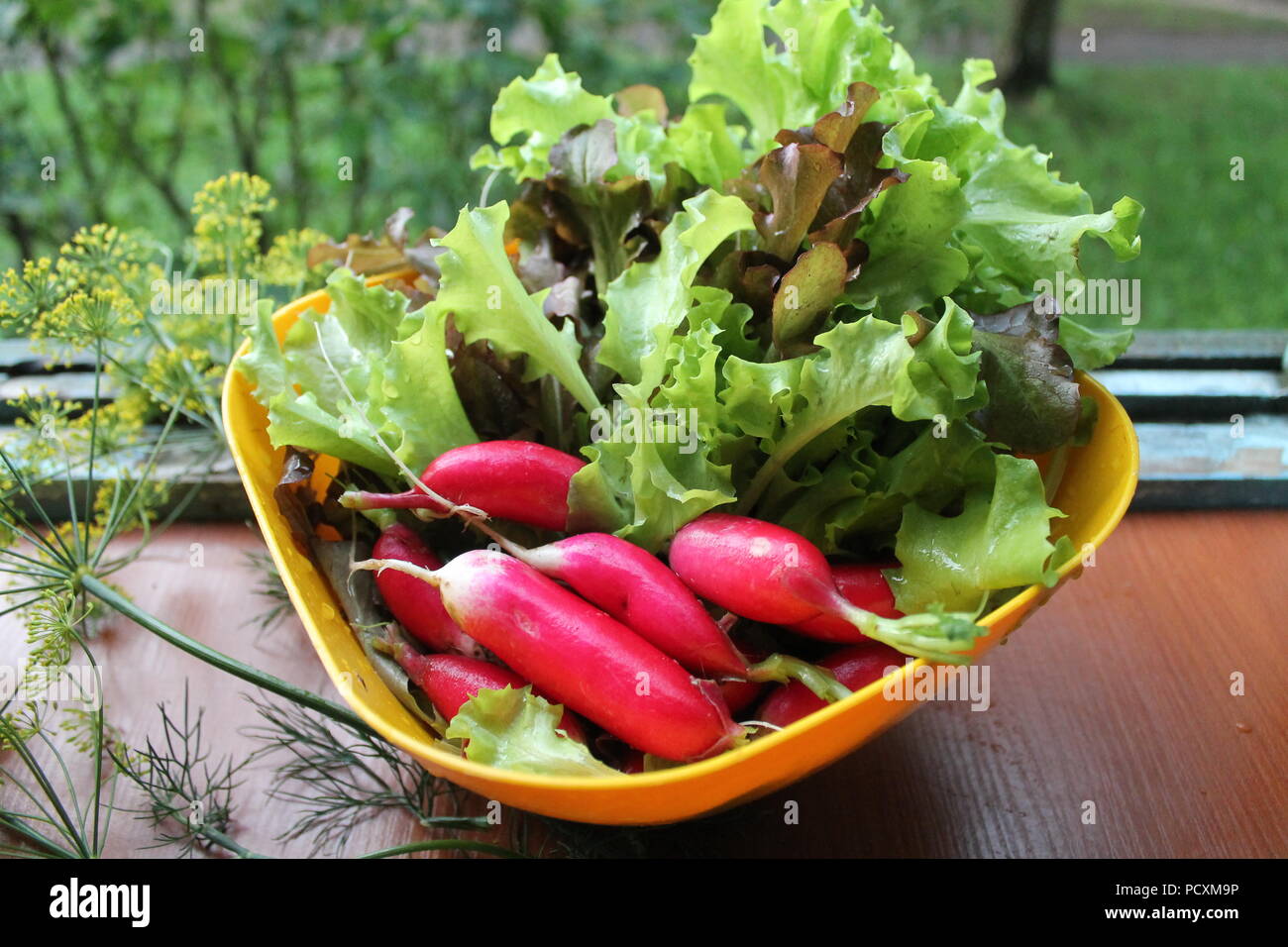 appetizing fresh juicy pulp colorful vegetables for dinner Stock Photo