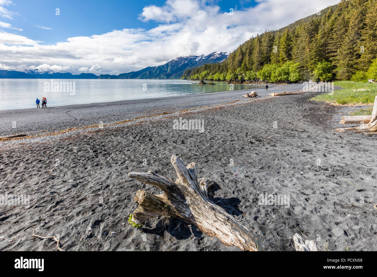 People on bech at Lowell Point on Resurrection Bay in Seward Alaska Stock Photo