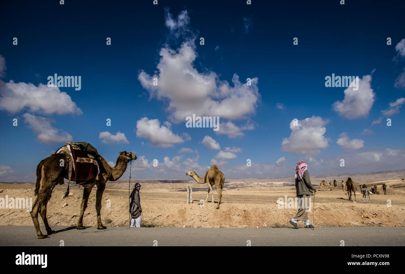 Negev bedouin hires stock photography and images Alamy