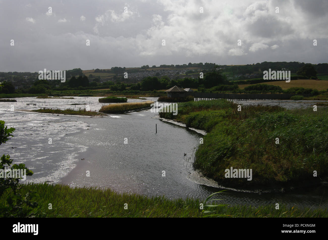 Wetland, Axe Valley, Devon Stock Photo